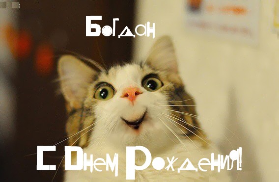 Открытки с именем Богдан с анимациями. Открытки с днём рождения Богдан.