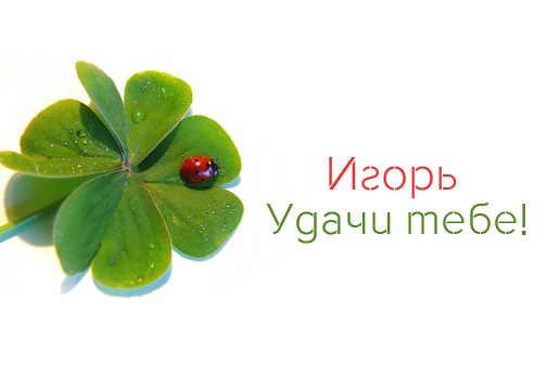 Открытки с именем Игорь скачать бесплатно. Открытки с именем Игорь с анимациями.