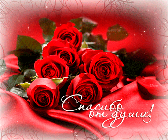 Красивые открытки с благодарностью. Открытки с надписью спасибо.