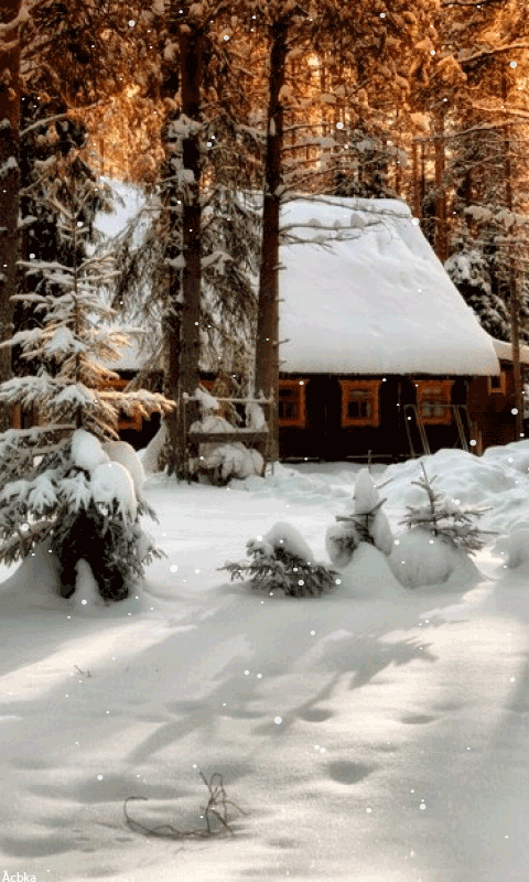 Открытки с домиком в лесу скачать бесплатно. Открытки с домиком в лесу gif.