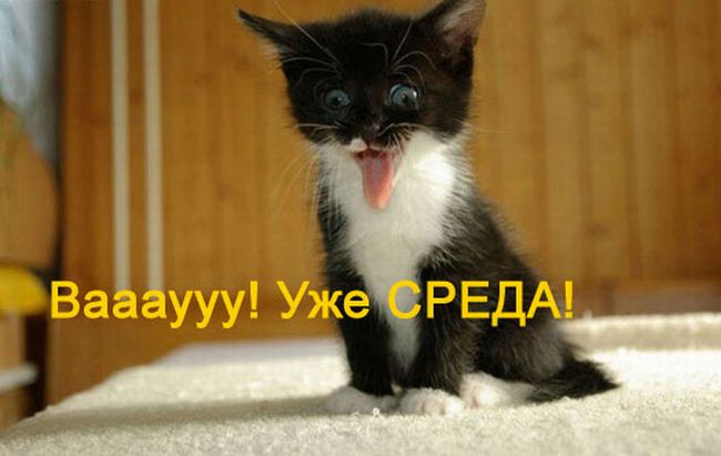 Открытки на среду скачать. Открытки на среду с пожеланиями бесплатно.