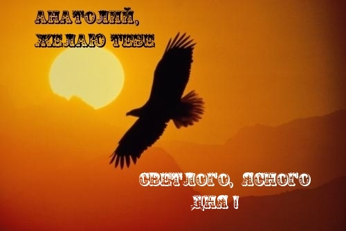 Открытки с именем Анатолий gif. Скачать бесплатные открытки с именем Анатолий.