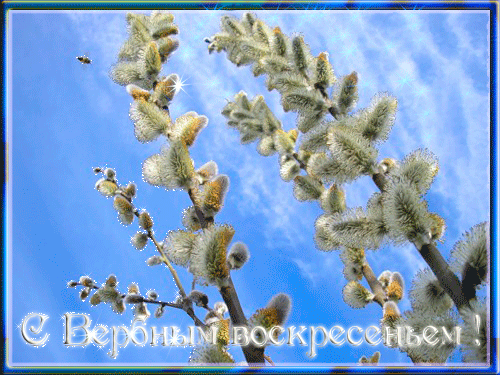 Скачать бесплатные анимационные открытки с Вербным Воскресеньем.