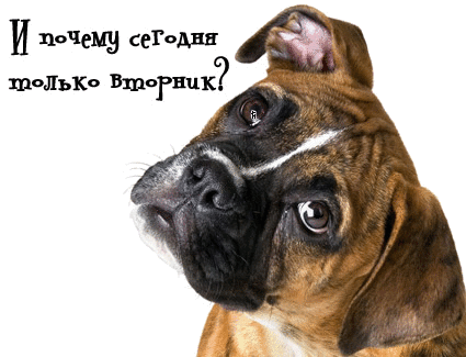 Открытки на вторник скачать. Открытки на вторник бесплатно онлайн.