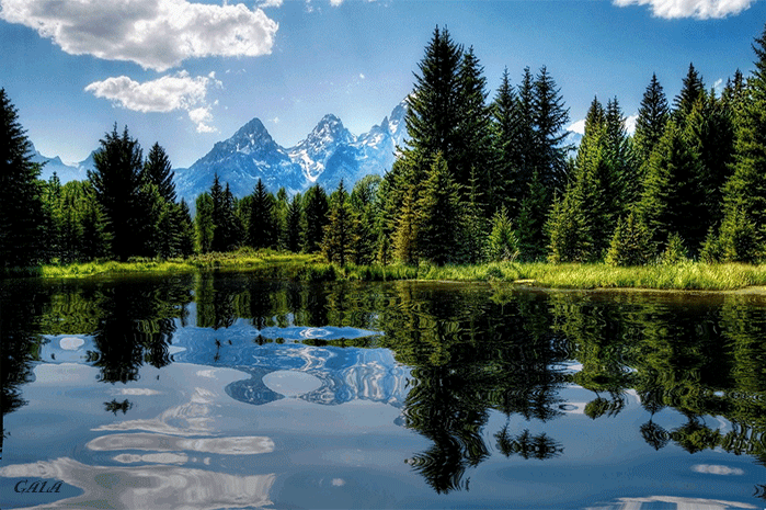 Открытки с озёрами с анимациями. Открытки с озёрами скачать.