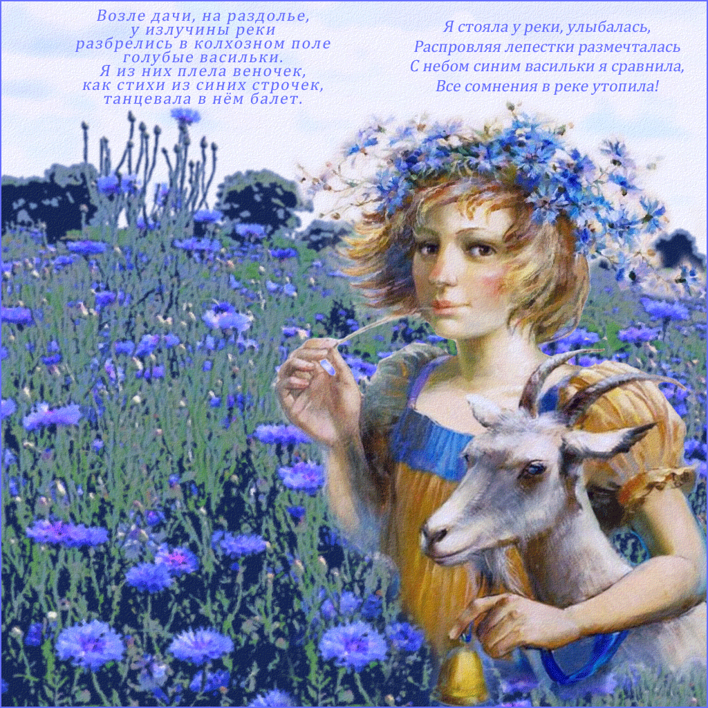 Открытки с васильковым полем скачать бесплатно. Открытки с васильковым полем ...