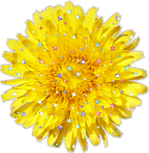 Открытки с желтыми одуванчиками скачать бесплатно. Открытки с желтыми одуванч...