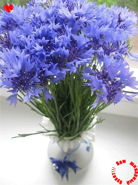 Открытки с букетом васильков скачать бесплатно. Открытки с букетом васильков ...
