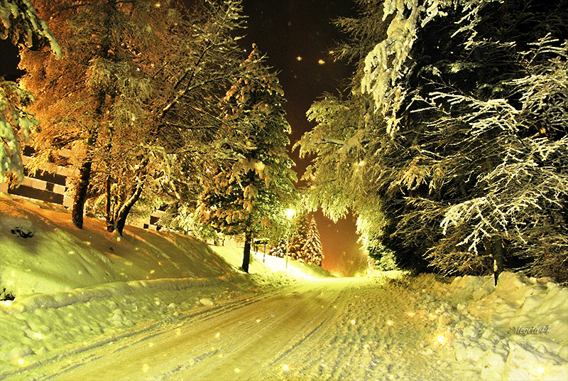 Открытки с зимним лесом скачать бесплатно. Открытки с зимним лесом gif.