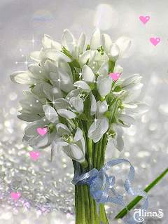 Открытки с подснежниками скачать бесплатно. Открытки с подснежниками gif.