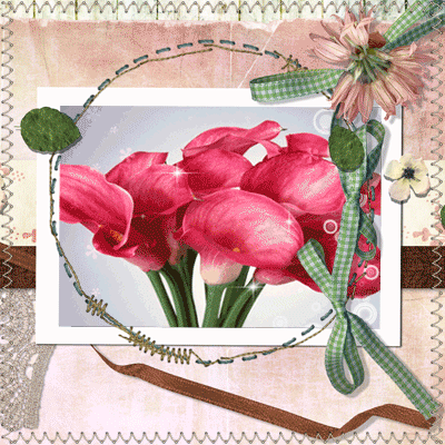 Открытки с каллами скачать бесплатно. Открытки с каллами онлайн.