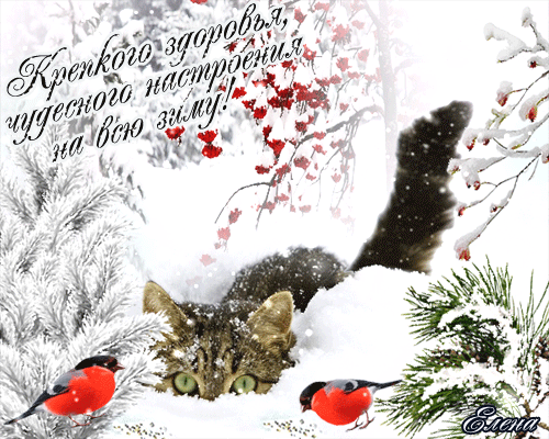 Красивые анимационные Открытки крепкого здоровья скачать бесплатно.