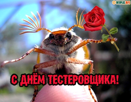 Открытки с днём тестировщика скачать бесплатно. Открытки с днём тестировщика ...