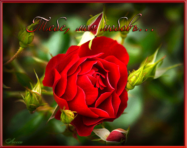  Открытки с признаниями в любви.  Лучшие открытки с любовью.