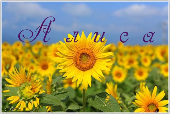 Открытки с именем Алиса gif. Скачать бесплатно открытки с именем Алиса.