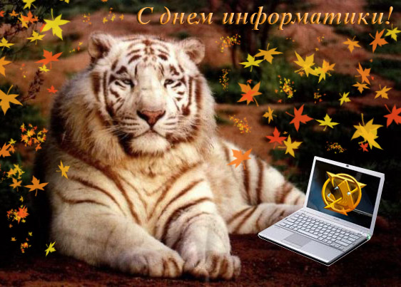 Открытки с днём информатики 4 декабря. Открытки с днём информатики gif.
