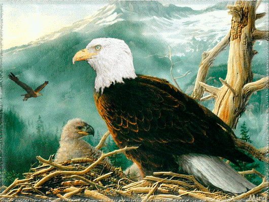 Открытки с орлом скачать бесплатно. Открытки с орлом онлайн.