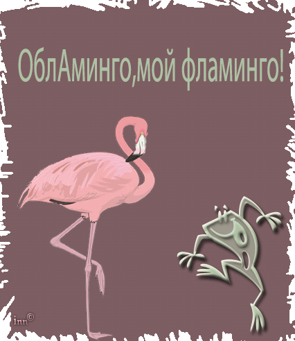 Открытки с фламинго с анимациями. Открытки с фламинго скачать.