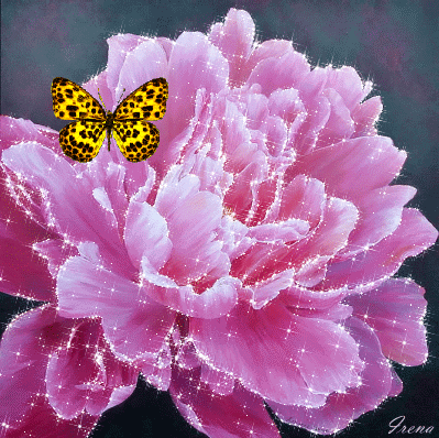 Открытки с розовыми пионами скачать бесплатно. Открытки с розовыми пионами он...