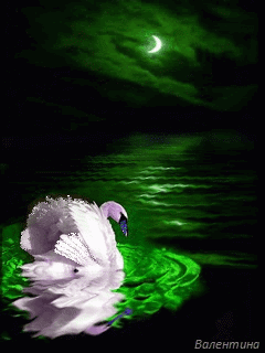 Открытки с лебедями скачать. Открытки с лебедями бесплатно. 