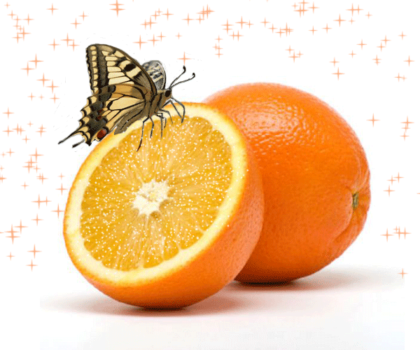 Открытки с фруктами скачать бесплатно. Открытки с фруктами онлайн.