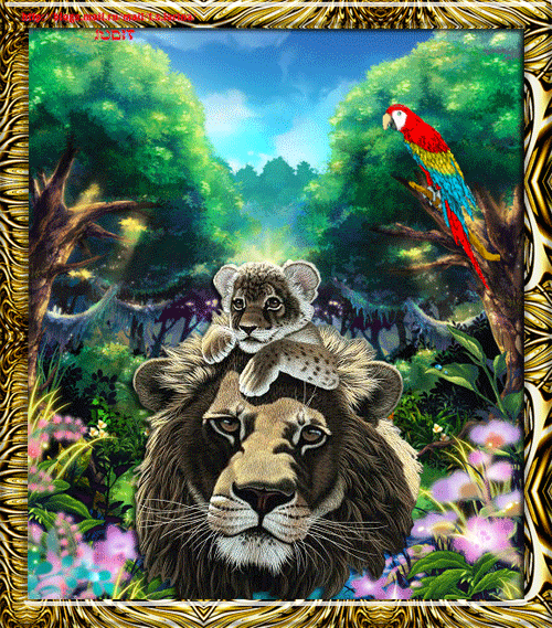 Открытки со львами скачать бесплатно. Открытки со львами gif. 