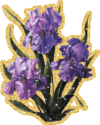 Открытки с ирисами скачать. Открытки с ирисами бесплатно онлайн.