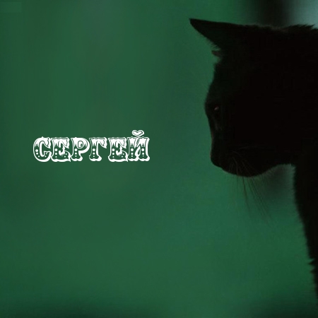 Открытки с именем Сергей скачать бесплатно. Открытки с именем Сергей gif.