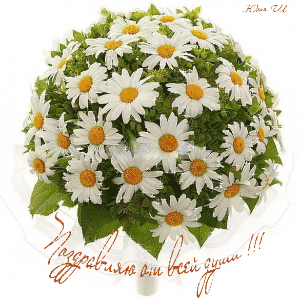 Открытки с букетом ромашек скачать бесплатно. Открытки с букетом ромашек онлайн.