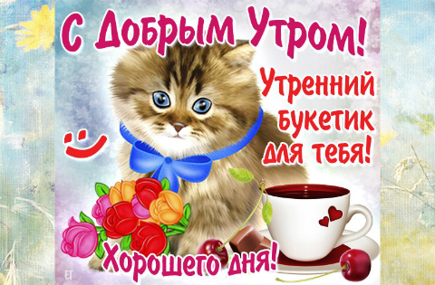 Открытки на каждый день с пожеланием доброго утра. Скачать открытки бесплатно.
