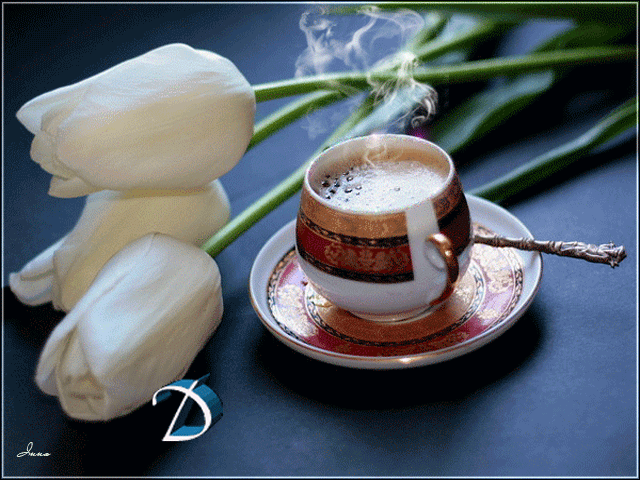 Открытки с белыми тюльпанами gif. Открытки с белыми тюльпанами скачать.