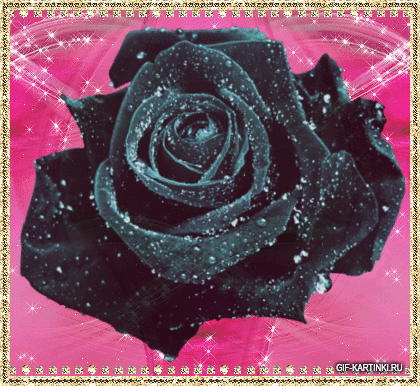 Открытки с черными розами скачать бесплатно. Открытки с черными розами gif.