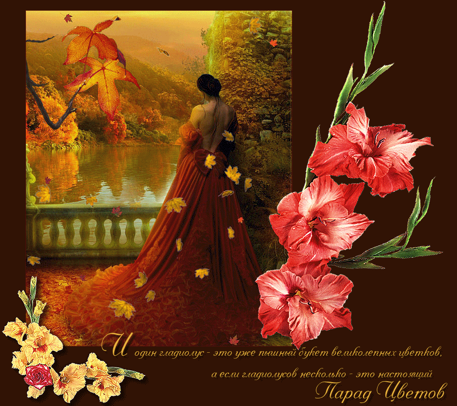 Открытки с гладиолусами скачать бесплатно. Открытки с гладиолусами анимационные.