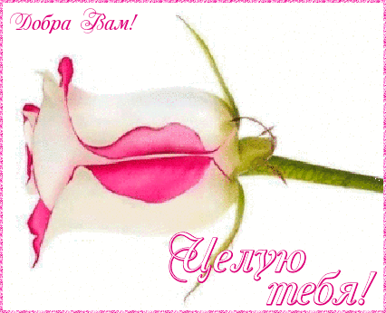  Анимационные открытки с поцелуями скачать онлайн бесплатно.