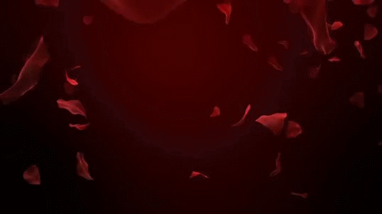 Открытки с лепестками цветов скачать бесплатно. Открытки с лепестками цветов ...