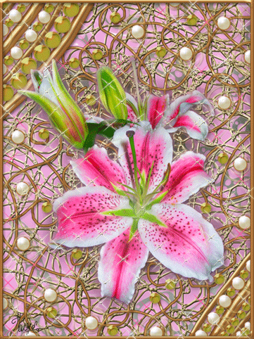 Открытки с розовыми лилиями скачать бесплатно. Открытки с розовыми лилиями ан...