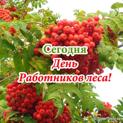 Открытки с днём работника леса скачать бесплатно. Открытки с днём работника л...