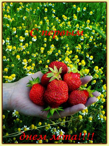 Открытки с первым днём лета скачать. Открытки с первым днём лета бесплатно.