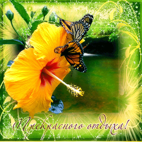 Скачать открытки хорошего лета. Анимационные открытки с пожеланиями.