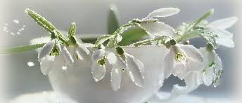 Открытки с подснежниками скачать бесплатно. Открытки с подснежниками gif.