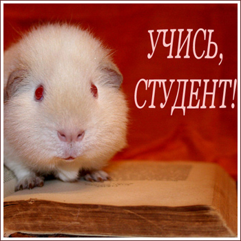 Красивые открытки на день студента (Татьянин день). Открытки на праздники 25 января