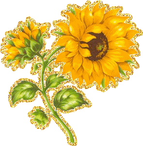 Открытки с подсолнухами скачать бесплатно. Открытки с подсолнухами gif.