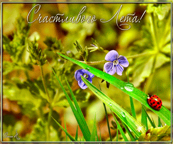 Красивые открытки лето. Скачать бесплатно открытки лето gif.