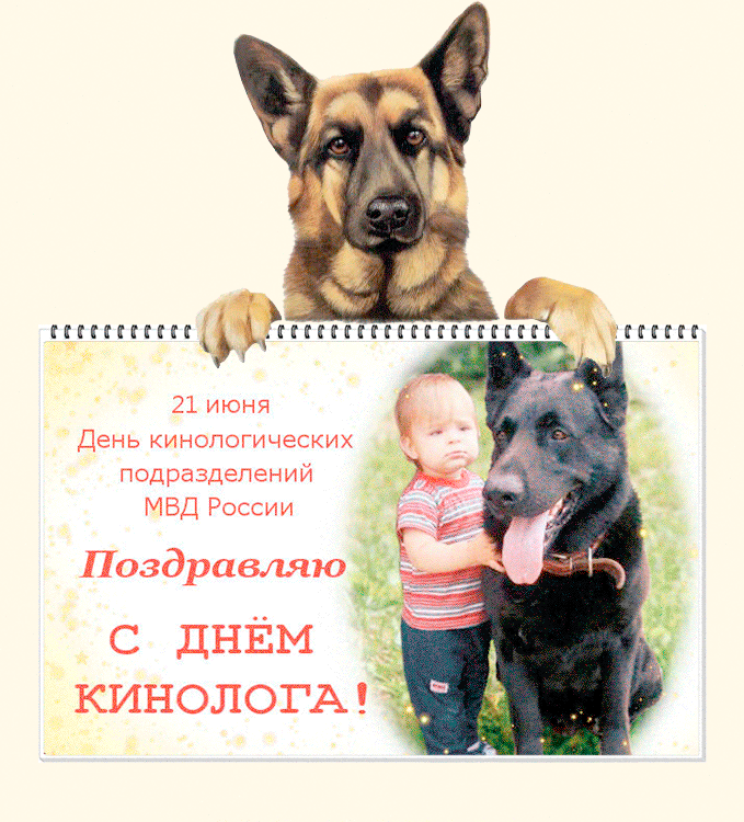 Открытки с днём кинолога скачать бесплатно. Открытки с днём кинолога 21 июня.