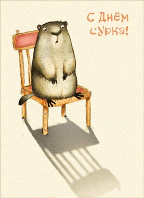 Скачать бесплатно открытки с днём сурка. Открытки с днём сурка Gif.