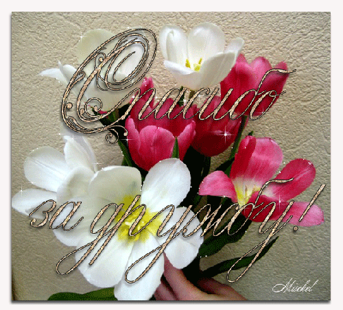 Бесплатные Открытки о дружбе скачать. Открытки о дружбе с анимациями.