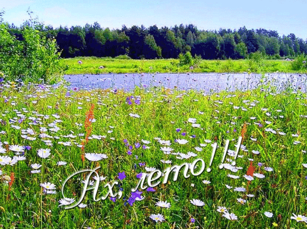 Скачать открытки хорошего лета. Анимационные открытки с пожеланиями.