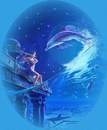 Открытки с дельфинами с анимациями. Открытки с дельфинами скачать.