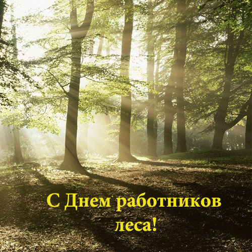 Открытки с днём работника леса скачать бесплатно. Открытки с днём работника л...