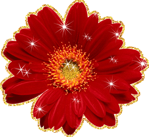 Открытки с герберами скачать бесплатно. Открытки с герберами gif.